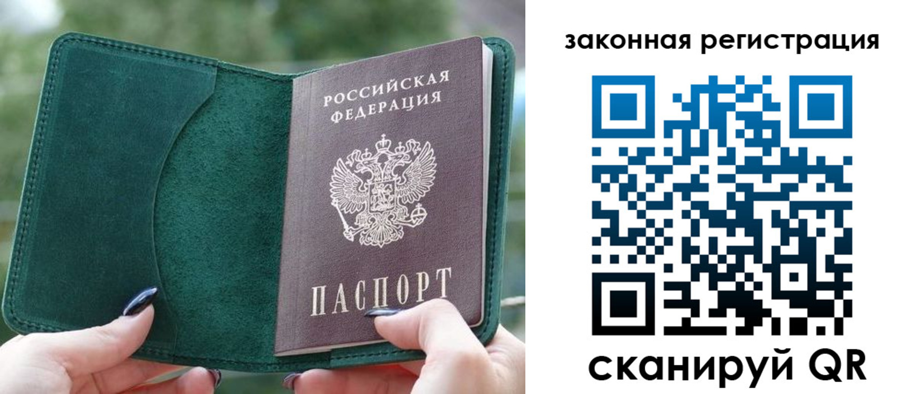 прописка гарантия в Брянске